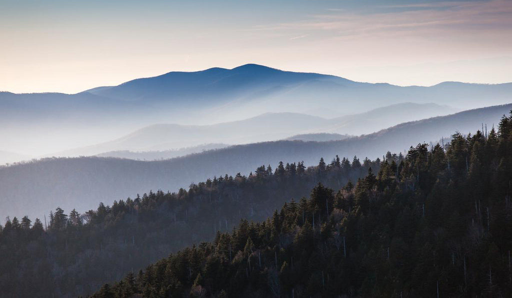 Smokies at Dusk